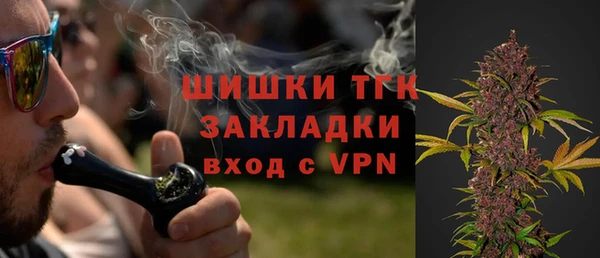 амф Арсеньев