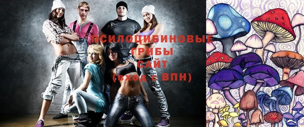 дживик Аркадак