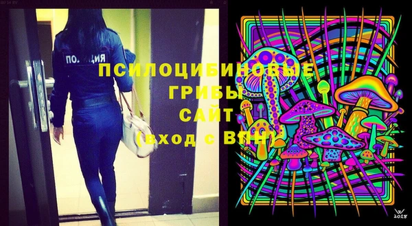 дживик Аркадак