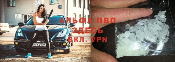 амф Арсеньев