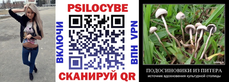 Псилоцибиновые грибы ЛСД  Суджа 