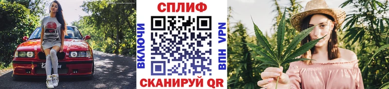сколько стоит  Суджа  Конопля конопля 